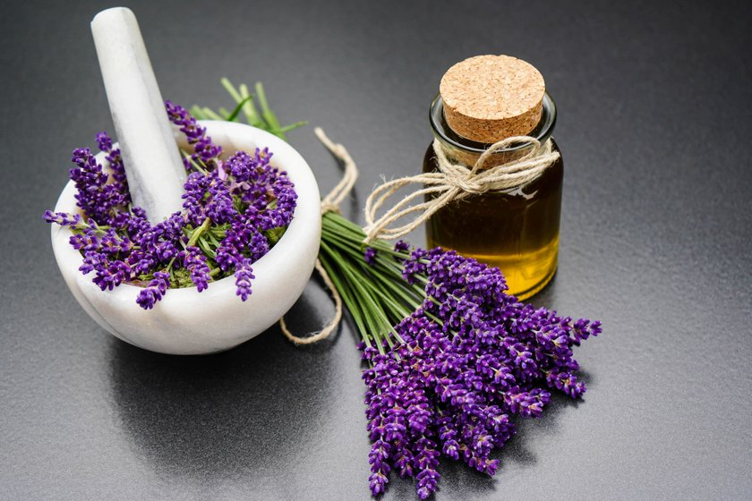 Lavendel, Schmalblaettriger Lavendel, Echter Lavendel, Schmalblaettrige Lavendel Lavandula angustifolia, Lavandula officinalis, frisch gesammelte Lavendelblueten, Lavendelblueten in einem Moerser mit Stoessel und Lavendeloel English lavender Lavandula angustifolia, Lavandula officinalis, freshly collected lavender flowers, lavender flowers in a mortar with pestle and lavender oil BLWS710544 *** Lavender, Narrow-leafed Lavender, Real Lavender, Narrow-leafed Lavender Lavandula angustifolia, Lavandula officinalis , Fresh collected Lavender flowers, Lavendelblueten in a Moerser with Stoessel and Lavender oil English Lavender Lavandula angustifolia, Lavandula officinalis , freshly collected Lavender flowers, Lavender Flowers i Copyright: xblickwinkel/Steidix