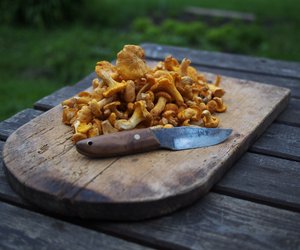 Pfifferlinge waschen: Mit diesem Trick werden sie sauber