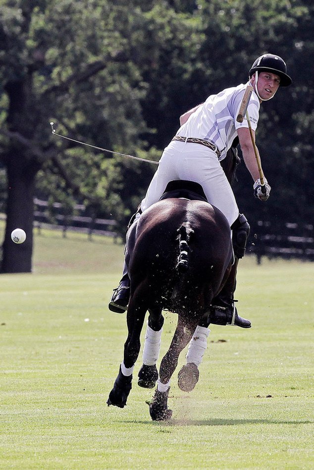 Prinz William beim Charity-Poloturnier Prinz William beim Charity-Poloturnier
