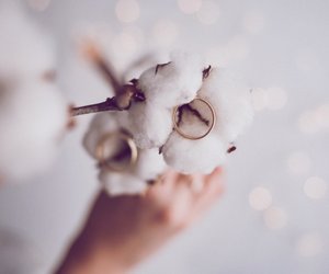 Baumwollhochzeit: Bedeutung, Geschenke und Sprüche zum 2. Hochzeitstag