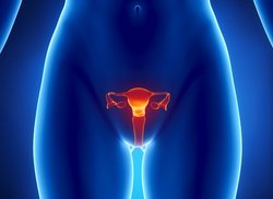 Wie viele Tage vor Eisprung Zervixschleim Wie viele Tage vor Eisprung Zervixschleim