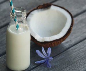 Rezept: Leckere Kokosmilch selber machen