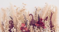 Im Trend: So einfach verschönerst du mit Trockenblumen dein Zuhause