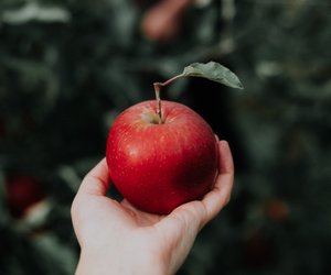Apfel und seine Kalorien: Welche Nährstoffe stecken drin?