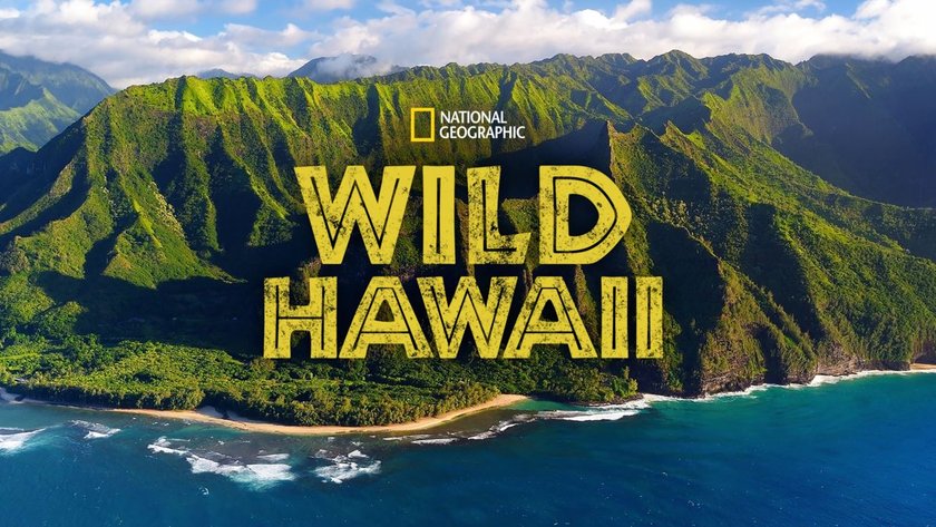 Wildes Hawaii - Staffel 1