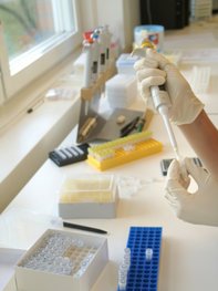 Samenbanken untersuchen das Sperma Samenbanken untersuchen das Sperma