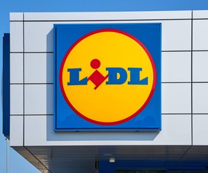 Reisekomfort leicht gemacht: Die faltbare Haustiermatte von Lidl ist ideal für Ausflüge mit Hund