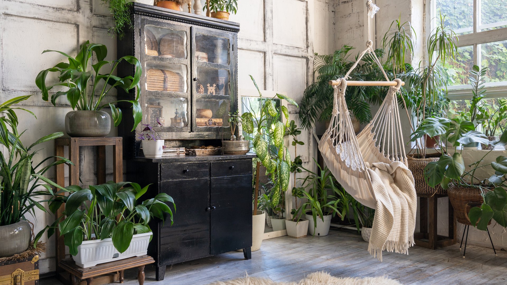 Urban-Jungle-f-r-dein-Zuhause-Diese-Vasen-bert-pfe-setzen-Akzente