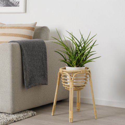 pflanztopf aus beton Pflanztopf Grigio New Egg H46cm 55cm D55cm Beton kaufen