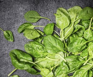 Gesunder Spinat: Diese Nährstoffe enthält das grüne Kraftfutter