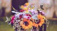 Blumen verschicken: Die besten Angebote zum Muttertag