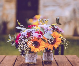 Blumen verschicken: Die besten Angebote zum Muttertag