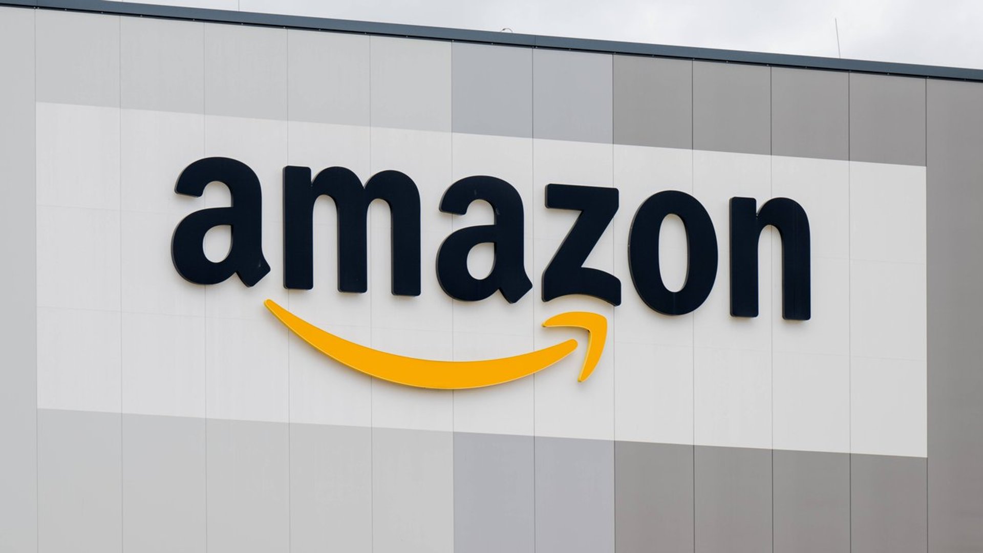Perfekt-f-r-drau-en-Diese-Blumenstecker-von-Amazon-bl-hen-ohne-zu-verwelken