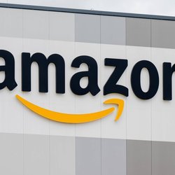 Perfekt für draußen: Diese Blumenstecker von Amazon blühen, ohne zu verwelken