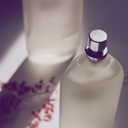 Diese 7 Parfum-Neuheiten von Rossmann riechen nach purer Leichtigkeit