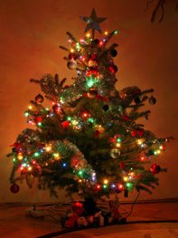 Geschmückte Weihnachtsbäume zum Fest. Geschmückte Weihnachtsbäume zum Fest.