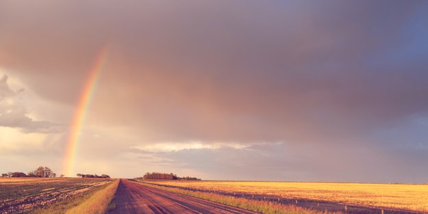 Siebenschläfertag 2024: Was ist dran an der Bauernregel?