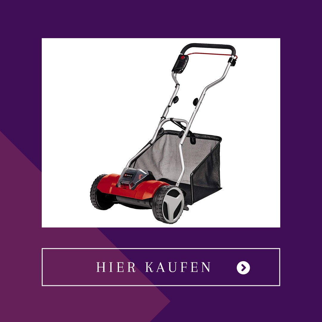 Rasenmäher bei Stiftung Warentest Der beste AkkuRasenmäher im Test