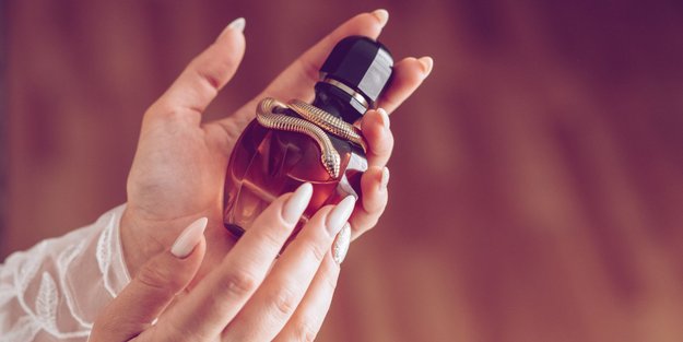 Verführerische Düfte: 5 Parfums mit magnetischer Anziehungskraft
