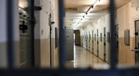 Albtraumhafter Thriller von Harlan Coben: Diese Familie erlebt das Grauen