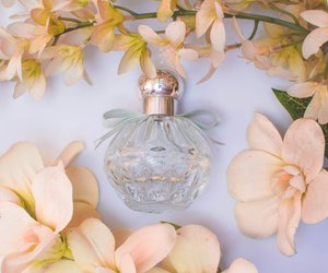 Das sind die 3 schönsten lieblichen Parfums