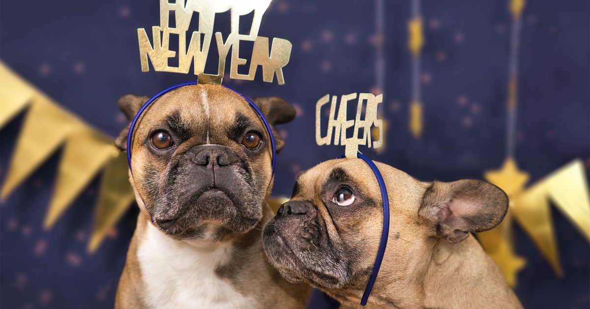Silvester Glückwünsche Schöne und lustige Sprüche zum Verschicken