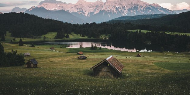 Spannung im Doppelpack: Ein Buchclub auf Verbrecherjagd in Tess Gerritsens Thriller