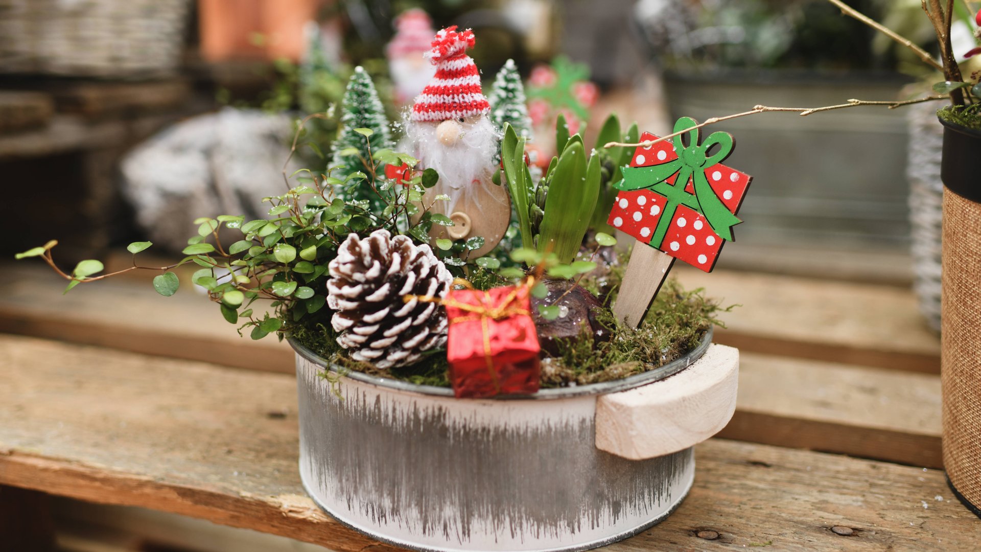DIY-Weihnachtsdeko-mit-Moos-Diese-s-en-Ideen-musst-du-ausprobieren-