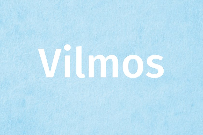 Name Vilmos