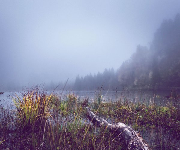 Mitreißender Thriller Simon Beckett schockiert mit Kindesentführung