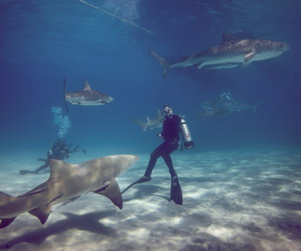 Bedeutung von 31er und Snitch Alles was du zu den Begriffen wissen musst