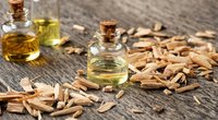 Zedernholz-Note: Dieses Parfum von Rossmann erinnert an einen heißen Sommertag