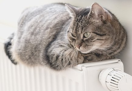 Richtig heizen und lüften Richtig heizen und lüften