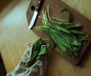 Bärlauch ernten: Diese Tipps helfen dir bei der Ernte