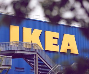 Sällskaplig: Dieses IKEA-Produkt für 9,99 Euro wollen gerade alle!