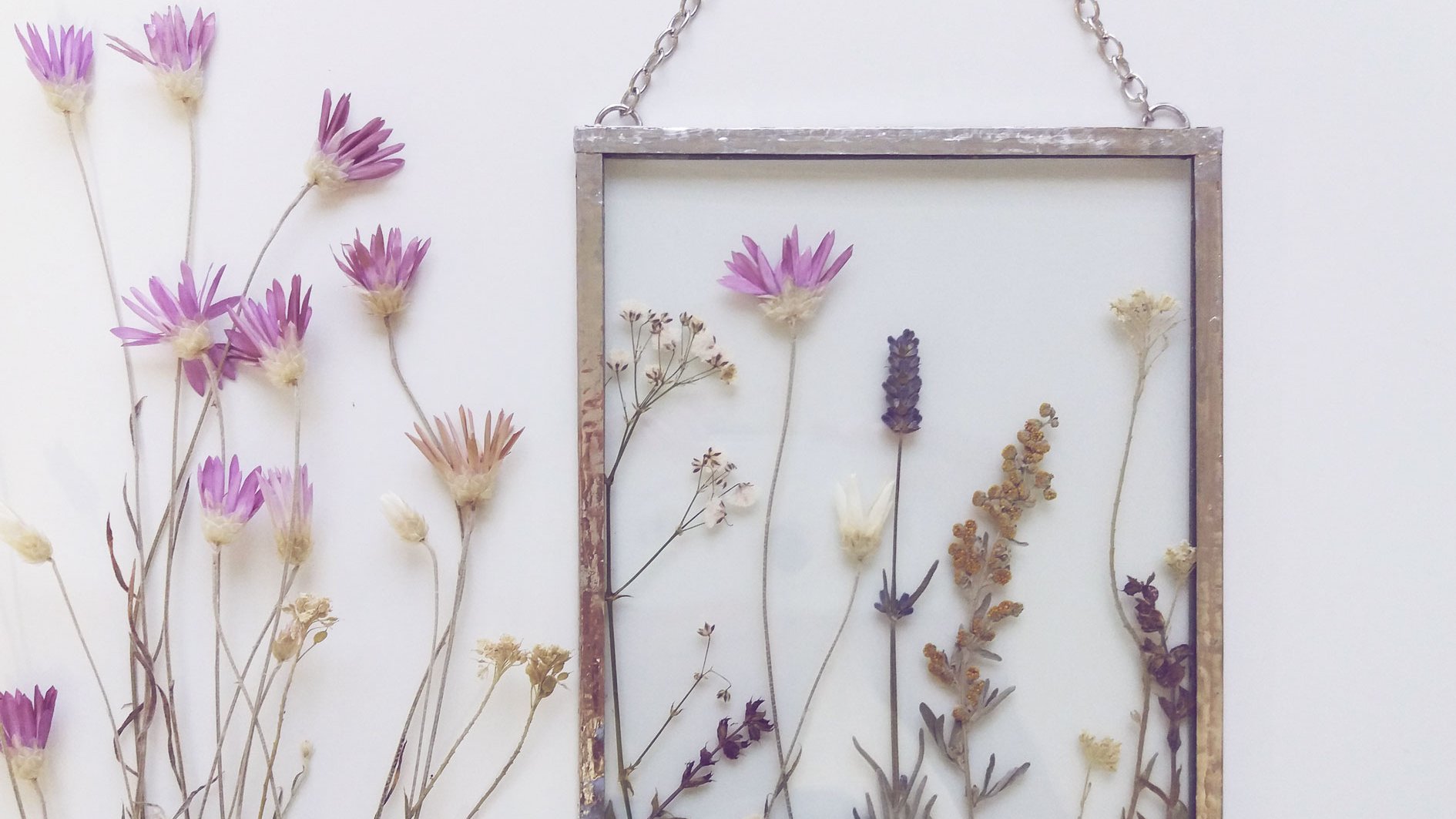 Blumen-pressen-leicht-gemacht-So-easy-machst-du-Deko-aus-Bl-ten-und-Bl-ttern