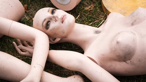 Animiert dieser Sexroboter zu Vergewaltigungen?