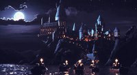 „Harry-Potter“-Bettwäsche: Diese zwei Sets sind einfach magisch