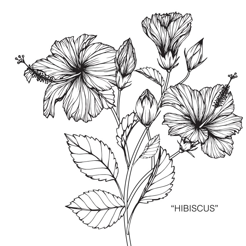 Blumen-Tattoo-Vorlage 13