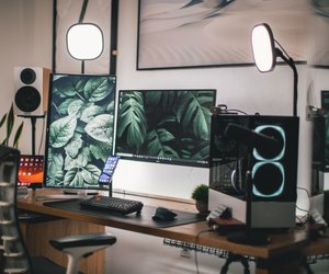 Starletnova: Hat die erfolgreiche Twitch-Streamerin einen Freund?