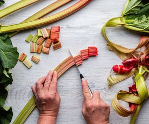 Rhabarber Erntezeit: Wann sich Ernte oder Kauf lohnen