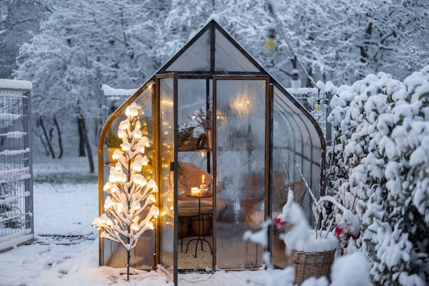 Weihnachten Garten