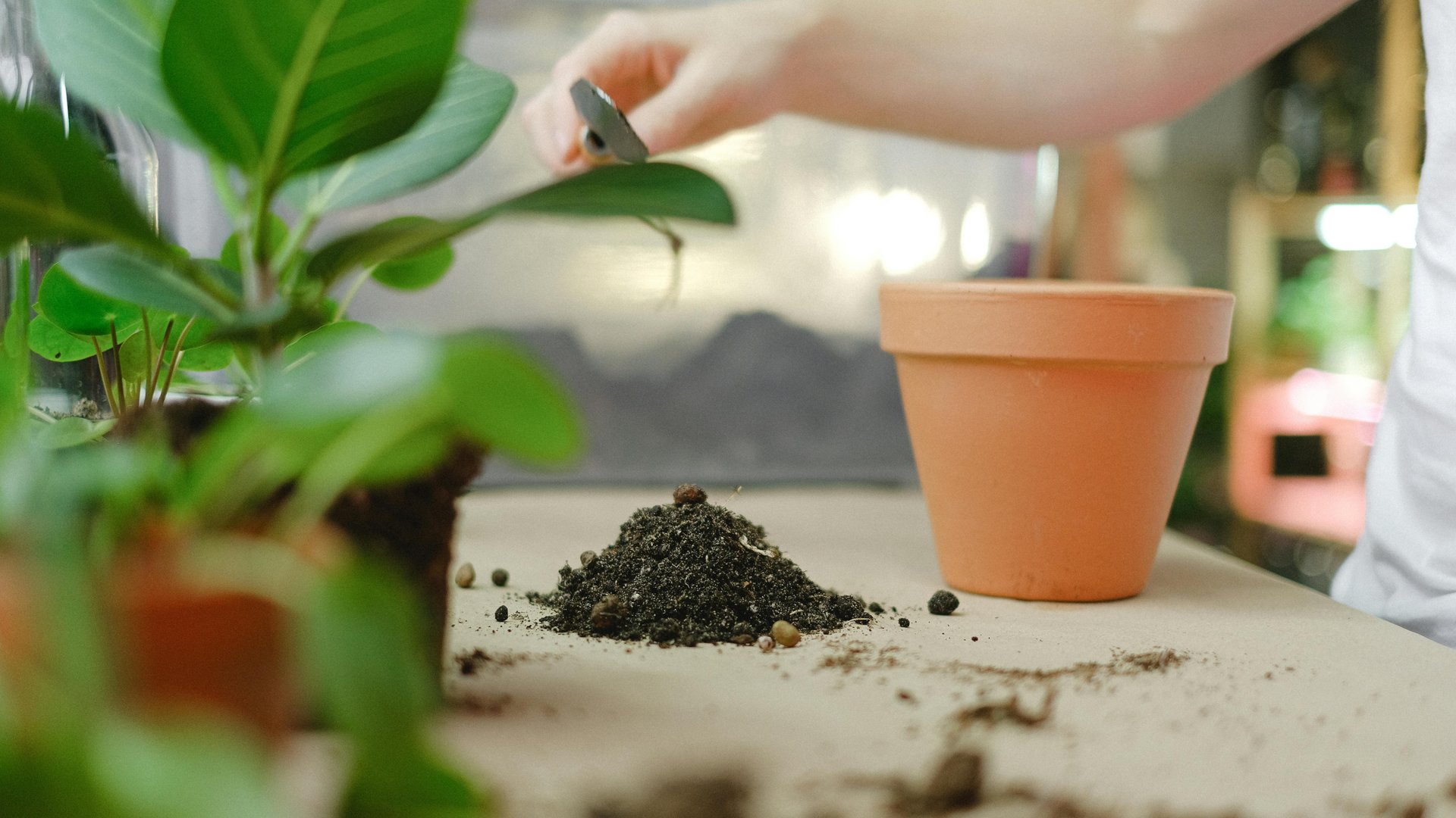 Gr-ner-wird-s-nicht-Diese-3-K-chenabf-lle-sind-besser-als-jeder-D-nger