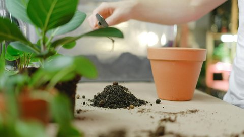 Grner wird's nicht: Diese 3 Kchenabflle sind besser als jeder Dnger