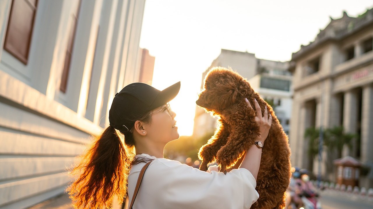 Den Hund verstehen – wichtig für eine gute Partnerschaft