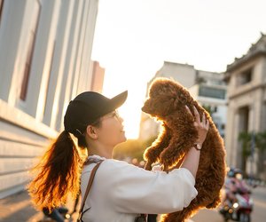 Hund leckt Füße ab: Das bedeutet es wirklich!