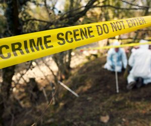 Schockierender Thriller von Harlan Coben: Diese verzweifelte Suche endet in einem Alptraum