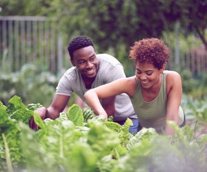 5 Dinge, die du an diesem Wochenende (11. - 13. Juli) in deinem Garten machen solltest