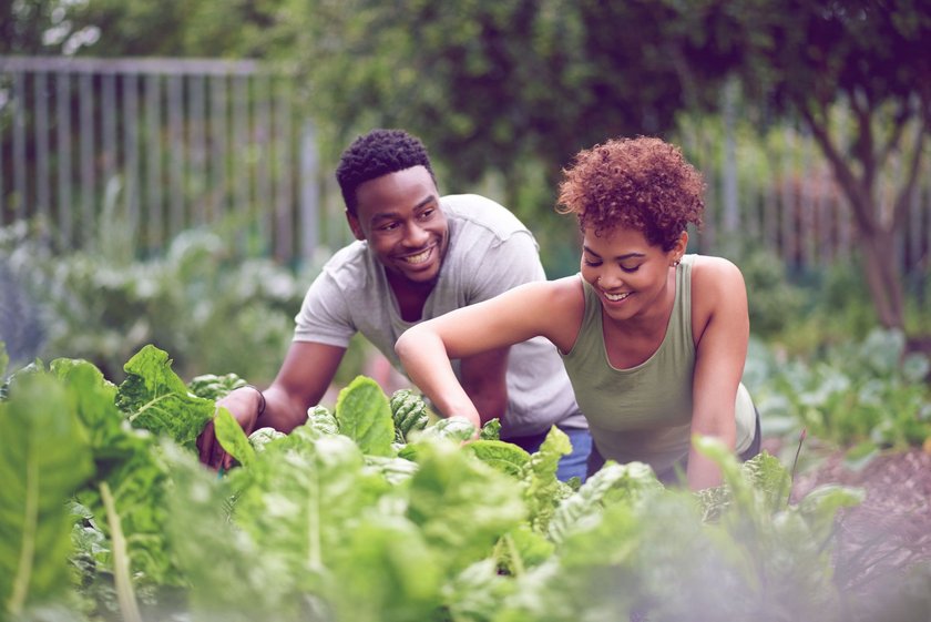 Gartenarbeit Wochenende