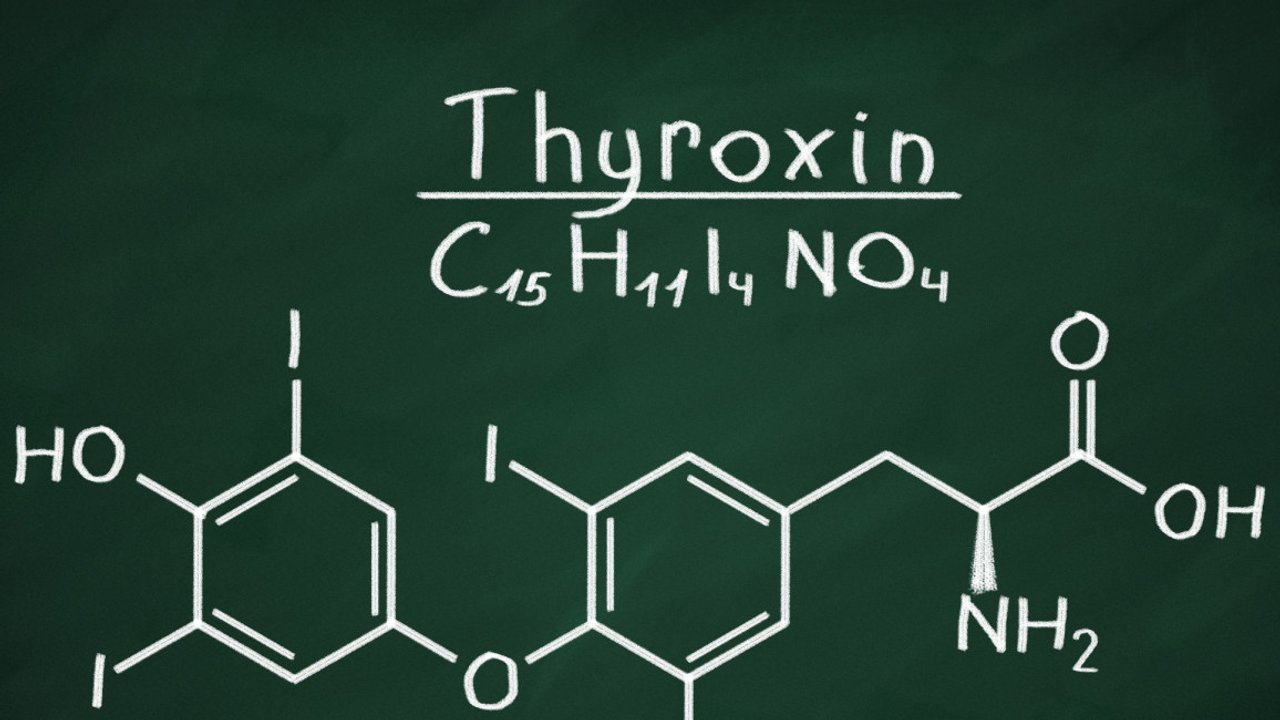 L-Thyroxin: Abnehmen mit diesem Hormon möglich?